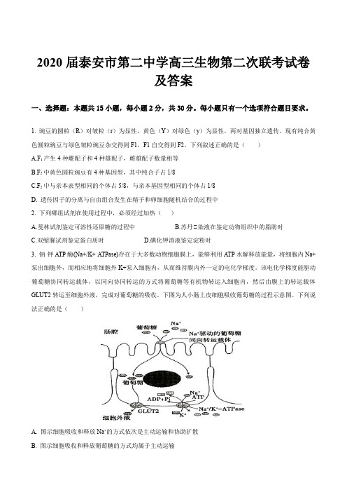 2020届泰安市第二中学高三生物第二次联考试卷及答案