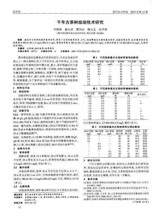 千年古茶树组培技术研究