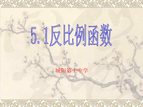 初三数学最新课件-反比例函数北师大版 精品