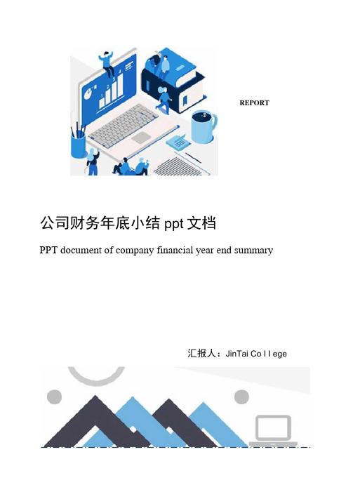 公司财务年底小结ppt文档