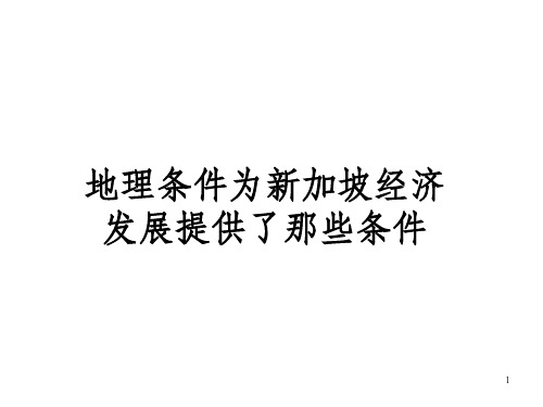 地理条件为新加坡经济发展提供了那些条件