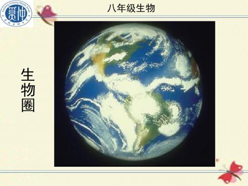 济南版生物八下6.3.1《生物多样性》ppt课件