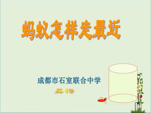 蚂蚁怎样走最近演示文稿
