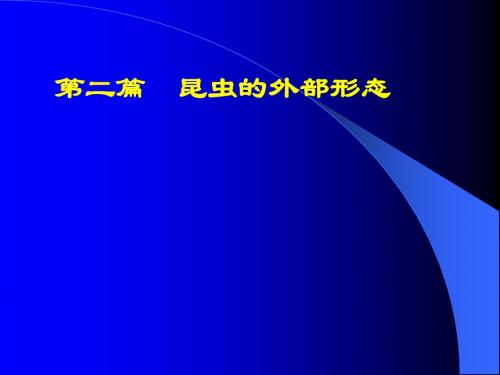 第一章、昆虫的外部形态讲解