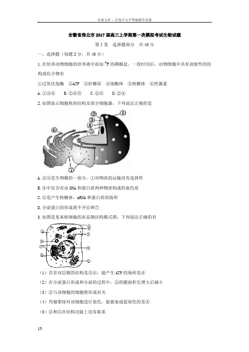 安徽省淮北市2017届高三上学期第一次模拟考试生物试题