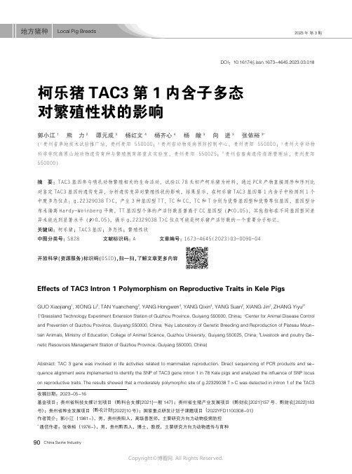 柯乐猪TAC3_第1_内含子多态对繁殖性状的影响