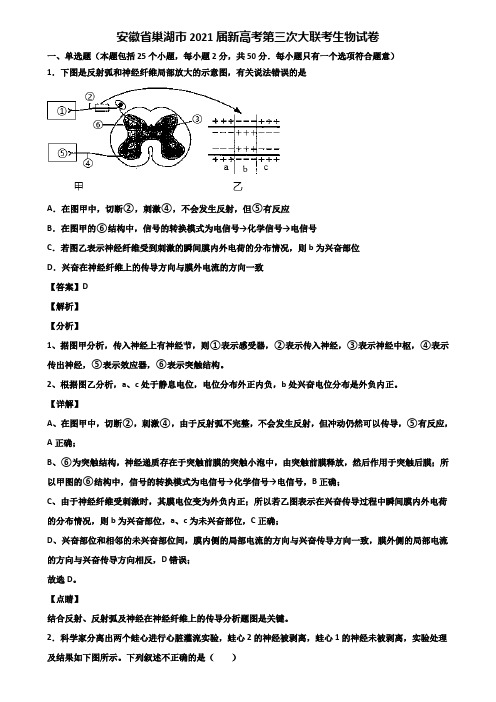 安徽省巢湖市2021届新高考第三次大联考生物试卷含解析