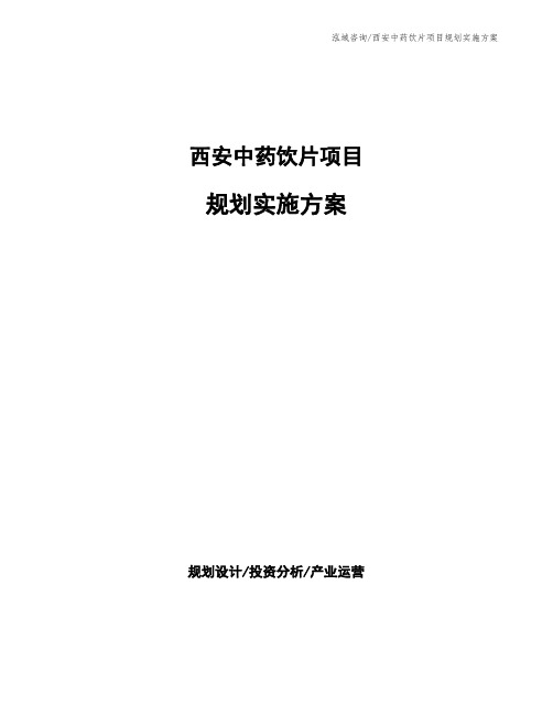 西安中药饮片项目规划实施方案