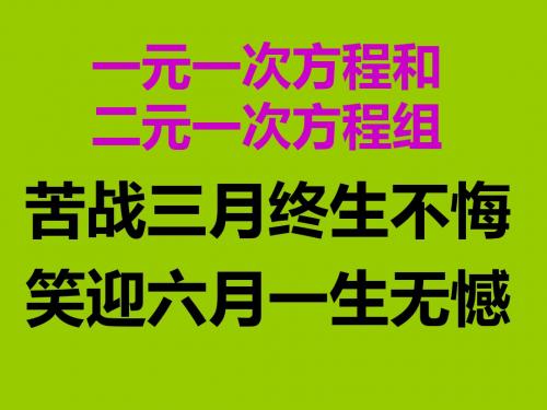 中考一元一次方程和二元一次方程组