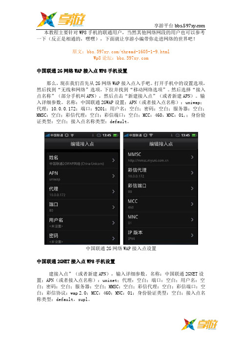 wp8手机网络设置教程
