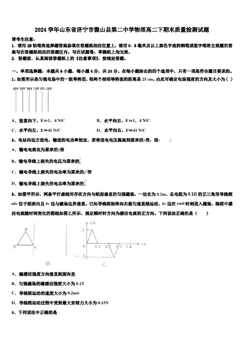 2024学年山东省济宁市微山县第二中学物理高二下期末质量检测试题(含解析)