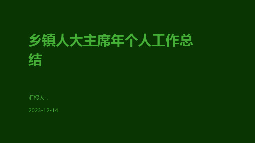 乡镇人大主席年个人工作总结