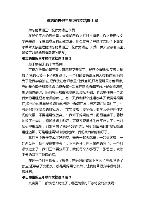 难忘的暑假三年级作文精选3篇