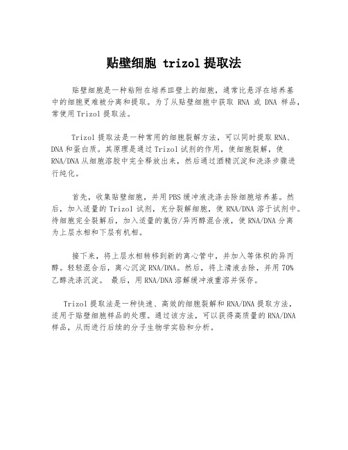 贴壁细胞 trizol提取法