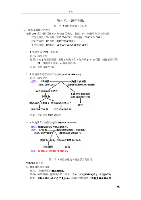 第十章 T淋巴细胞