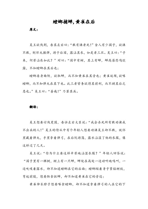 螳螂捕蝉,黄雀在后