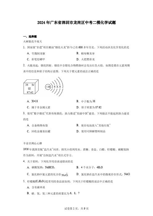 2024年广东省深圳市龙岗区中考二模化学试题