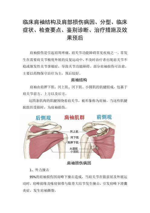 临床肩袖结构及肩部损伤病因、分型、临床症状、检查要点、鉴别诊断、治疗措施及效果预后