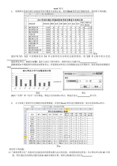 【浙江专用】信息技术学考Excel专项练习