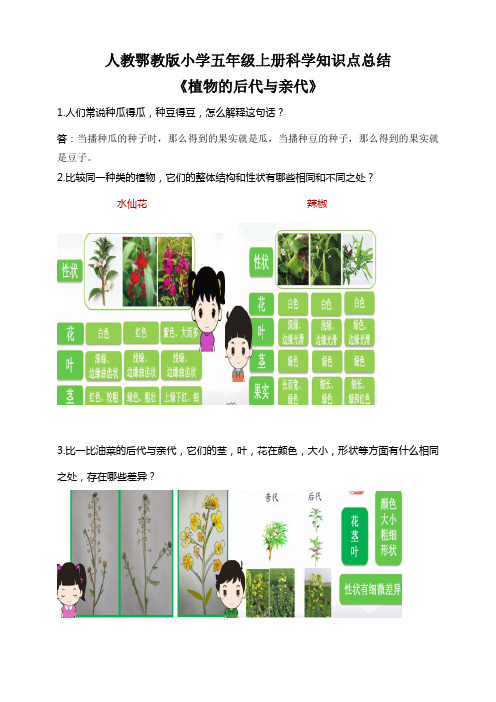 人教鄂教版小学五年级上册科学知识点总结《植物的后代与亲代》