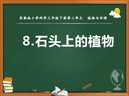 新苏教版(2020版)科学三年级下册教学课件 8.石头上的植物