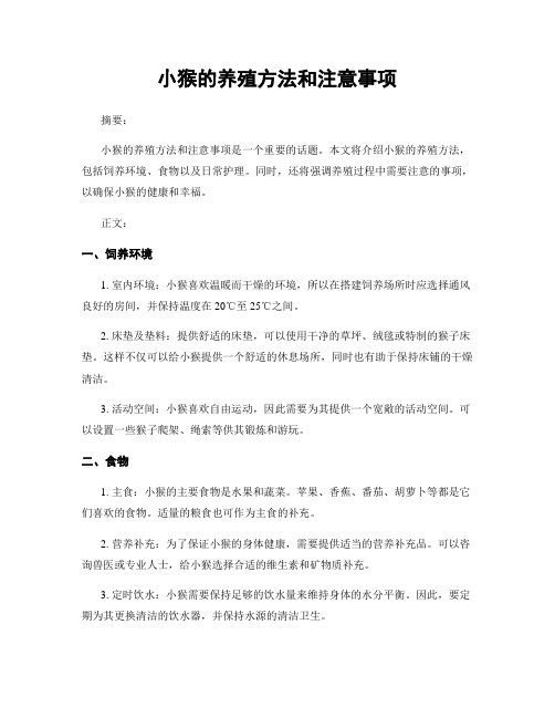 小猴的养殖方法和注意事项