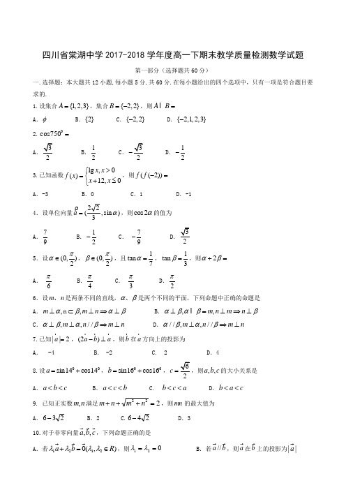 四川省棠湖中学2017-2018学年高一下学期期末数学试题