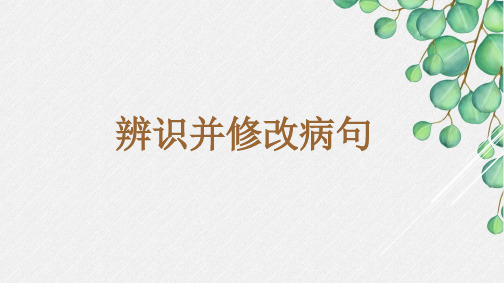 2024年高考语文二轮复习二轮复习之识别并修改病句(共69张ppt)