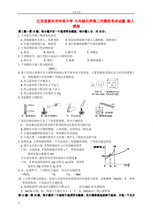 江苏省泰兴市洋思九年级化学第三次模拟考试试题新人教版