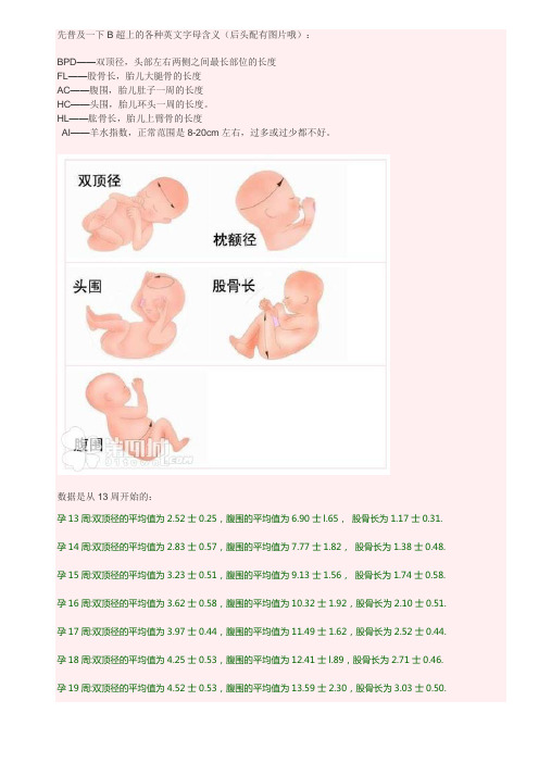 宝宝各周数B超双顶径股骨长参考数据标准