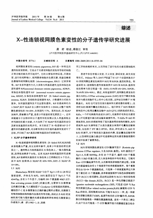 X-性连锁视网膜色素变性的分子遗传学研究进展