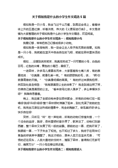 关于假如我是什么的小学生作文精选5篇