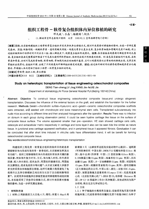 组织工程骨一软骨复合组织体内异位移植的研究