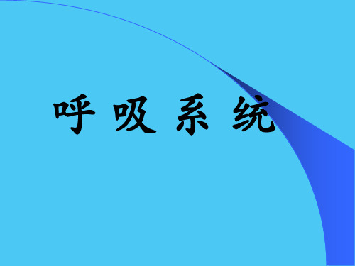 气管、支气管及肺组织结构