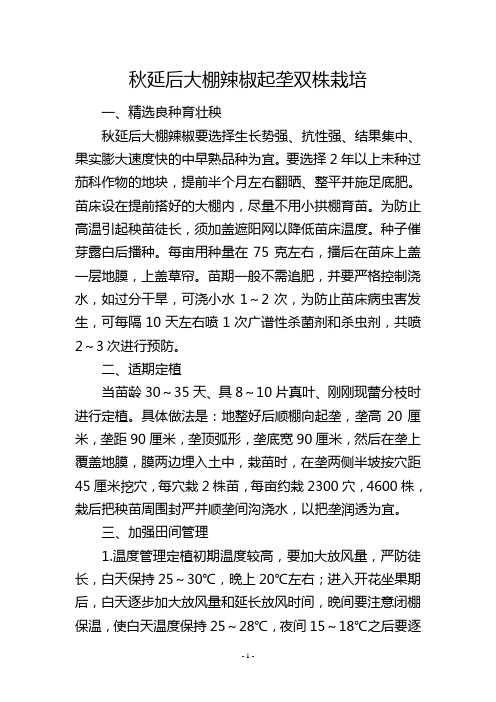 秋延后大棚辣椒起垄双株栽培