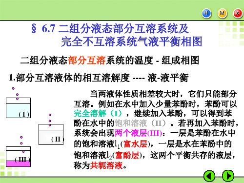 第6章 二组分液态部分互溶系统及完全不互溶系统气液平衡相图