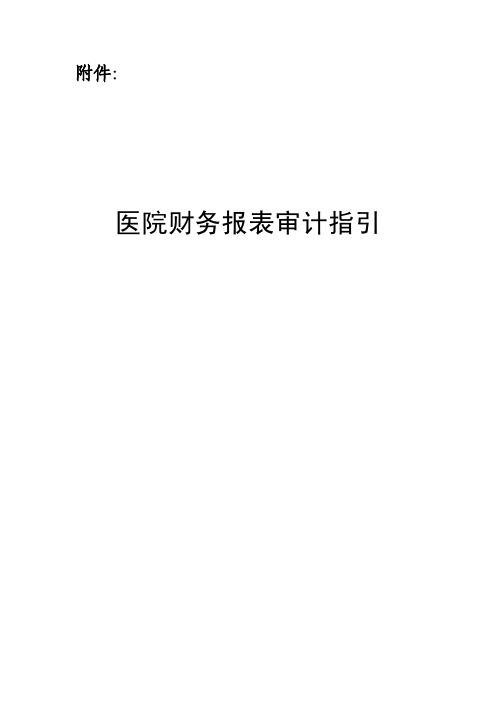 医院财务报表审计指引