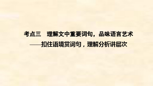 高考语文一轮通用版专题三 文学类文本阅读(二)散文(考点三 理解文中重要词句品味语言艺术)含答案