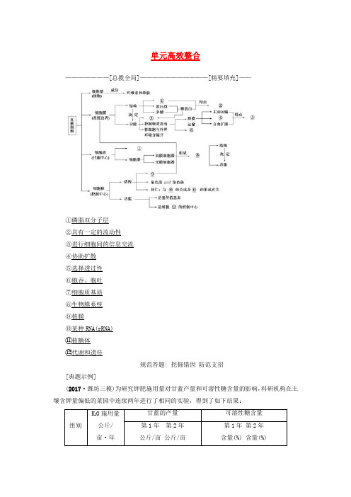 2018版高三生物一轮复习 第2单元 单元高效整合讲义 新人教版必修1