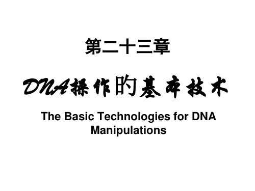 DNA操作的基本技术