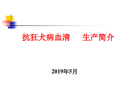 抗狂犬病血清生产简介