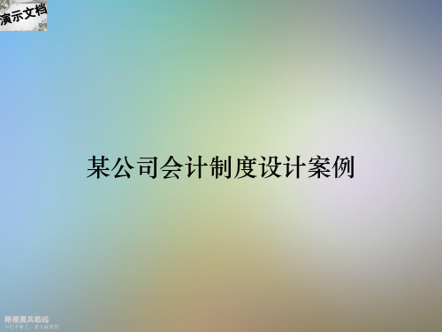 某公司会计制度设计案例