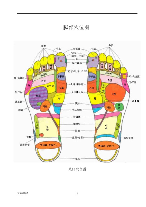 脚部穴位图全面图文