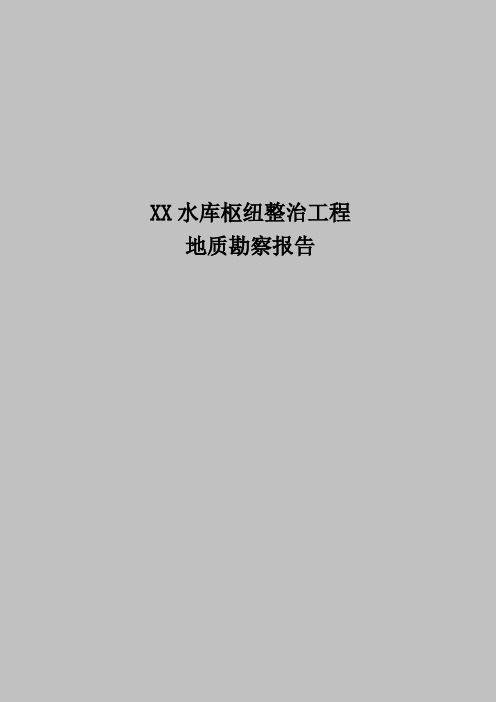 XX水库枢纽整治工程地质勘察报告