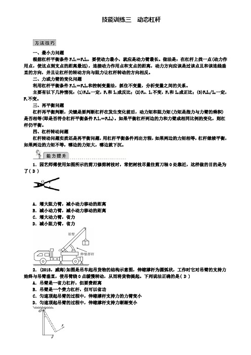 精选名校全国通用中考物理总复习技能训练三动态杠杆