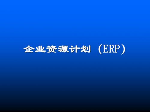 ERP专题讲座