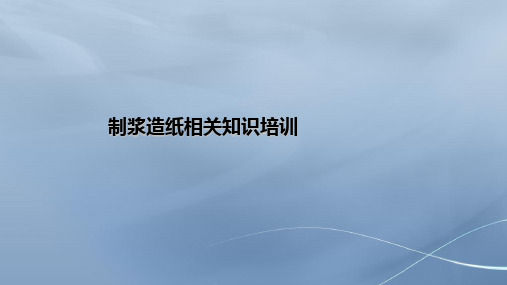 制浆造纸相关知识培训