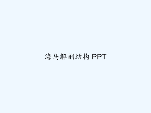 海马解剖结构 PPT