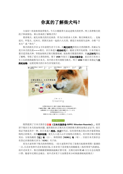 浅草柴犬：你对柴犬了解多少,详讲柴犬历史、血统、品种、样貌特征。