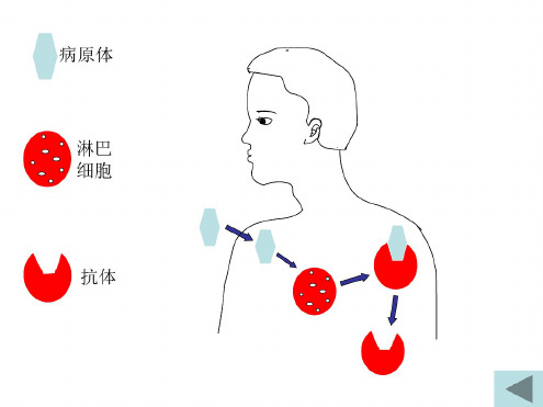 八年级生物免疫与计划免疫2(1)